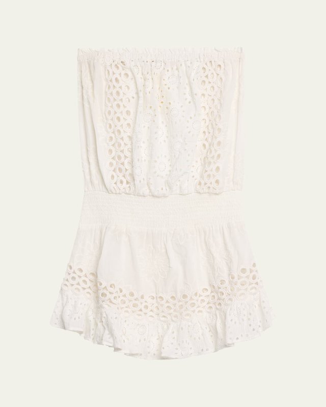 Lester Embroidered Strapless Mini Dress